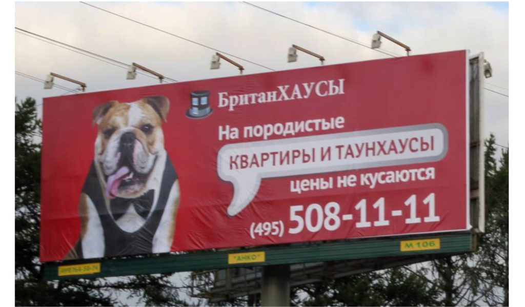 реклама с собаками 6