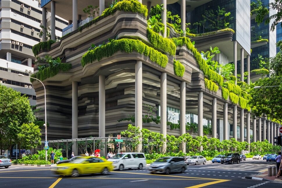 Зеленый фасад на зданиях Сингапура