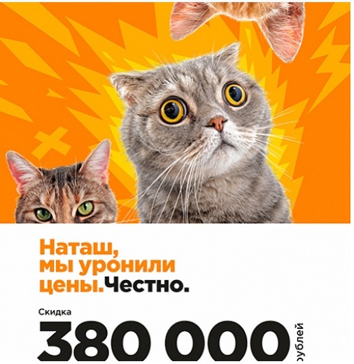 коты реклама
