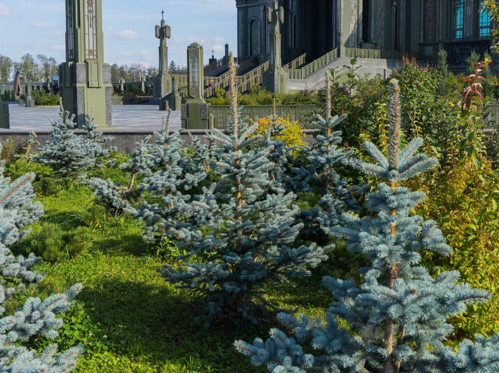 Изображение для статьи» class=