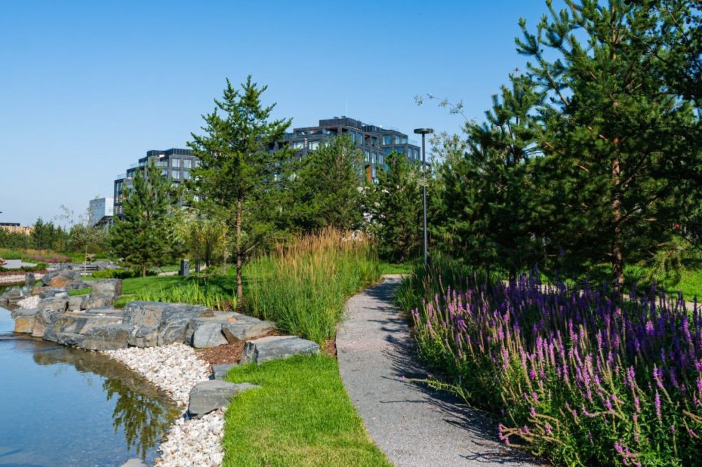 Изображение для статьи» class=